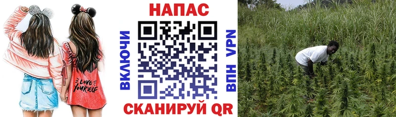 Бошки марихуана планчик Советский